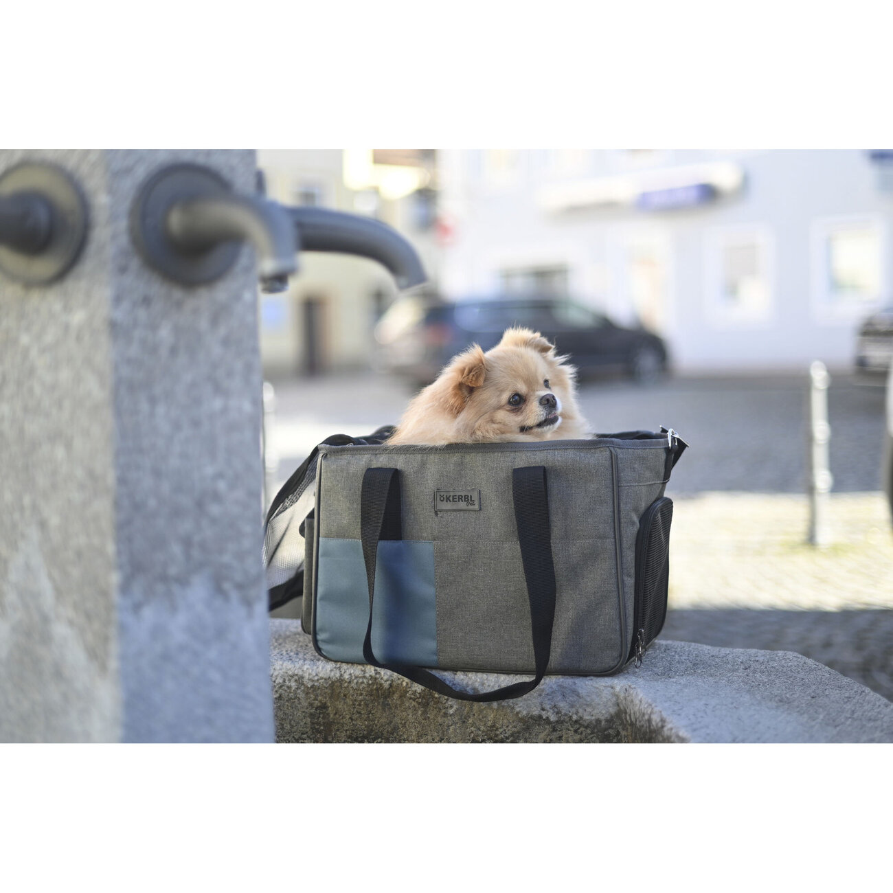 Hundetasche Vacation Bild 5