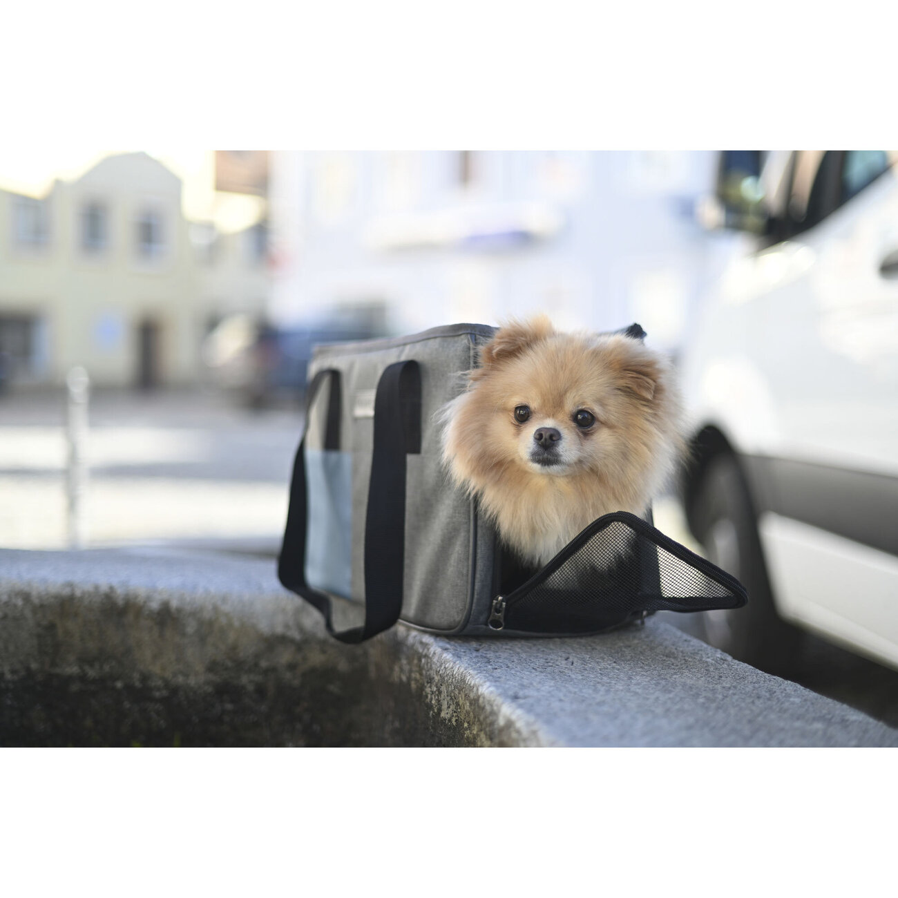 Hundetasche Vacation Bild 8