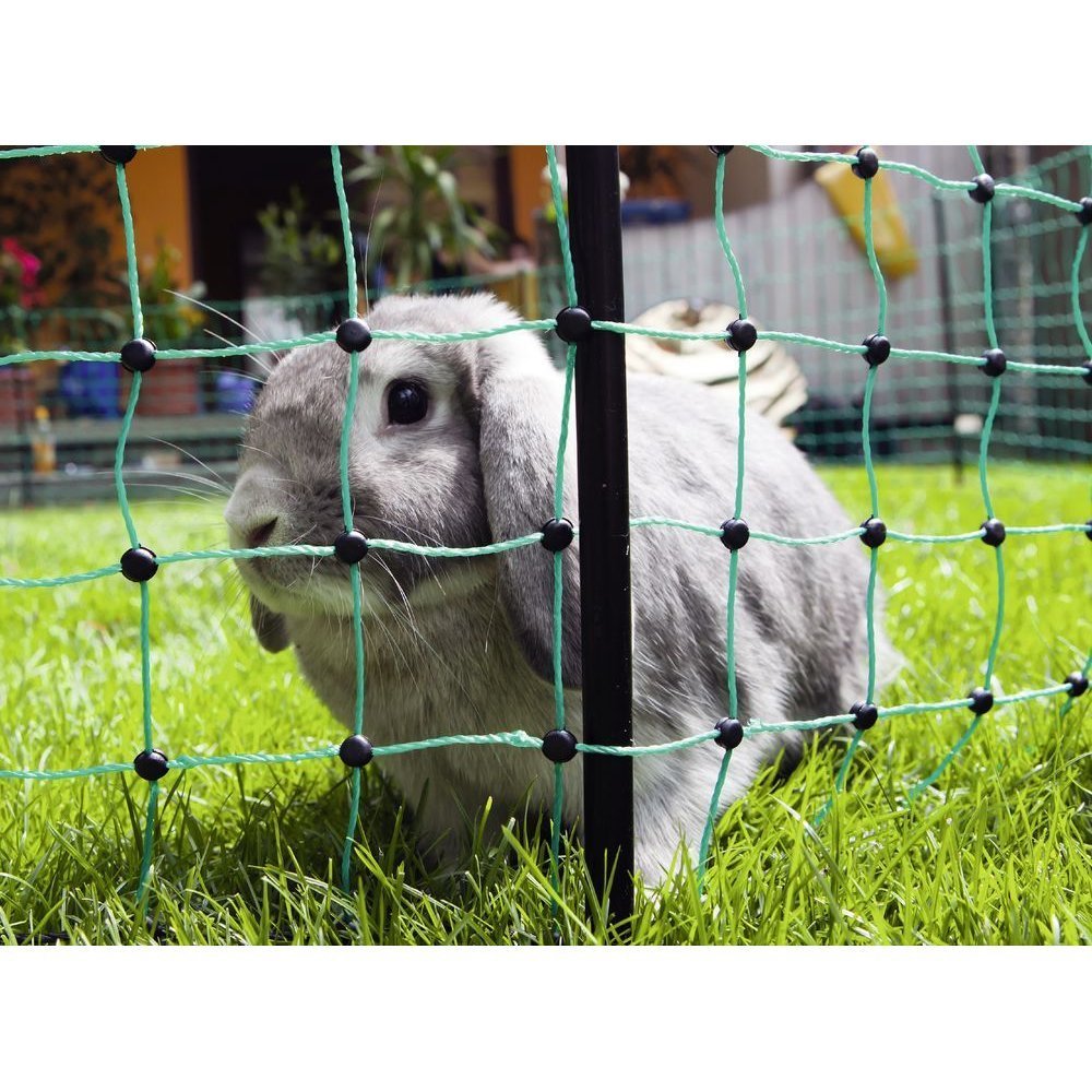 Kerbl Kaninchennetz Bild 2