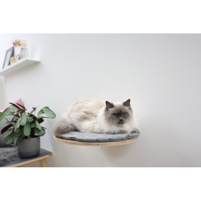 Katzen Wandliegebrett Tofana oval Bild 2