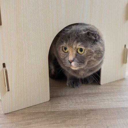 Katzenburg mit kuscheligem Kissen Bild 4