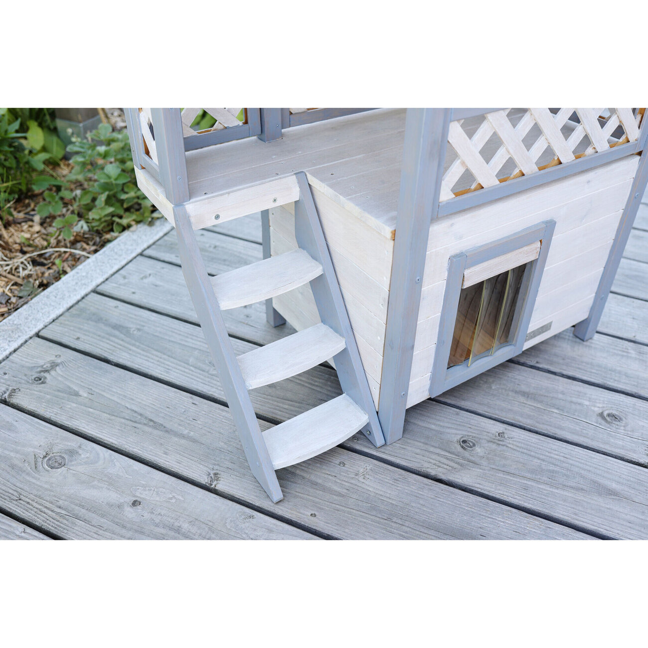 Katzenhaus Lodge Ontario Bild 8