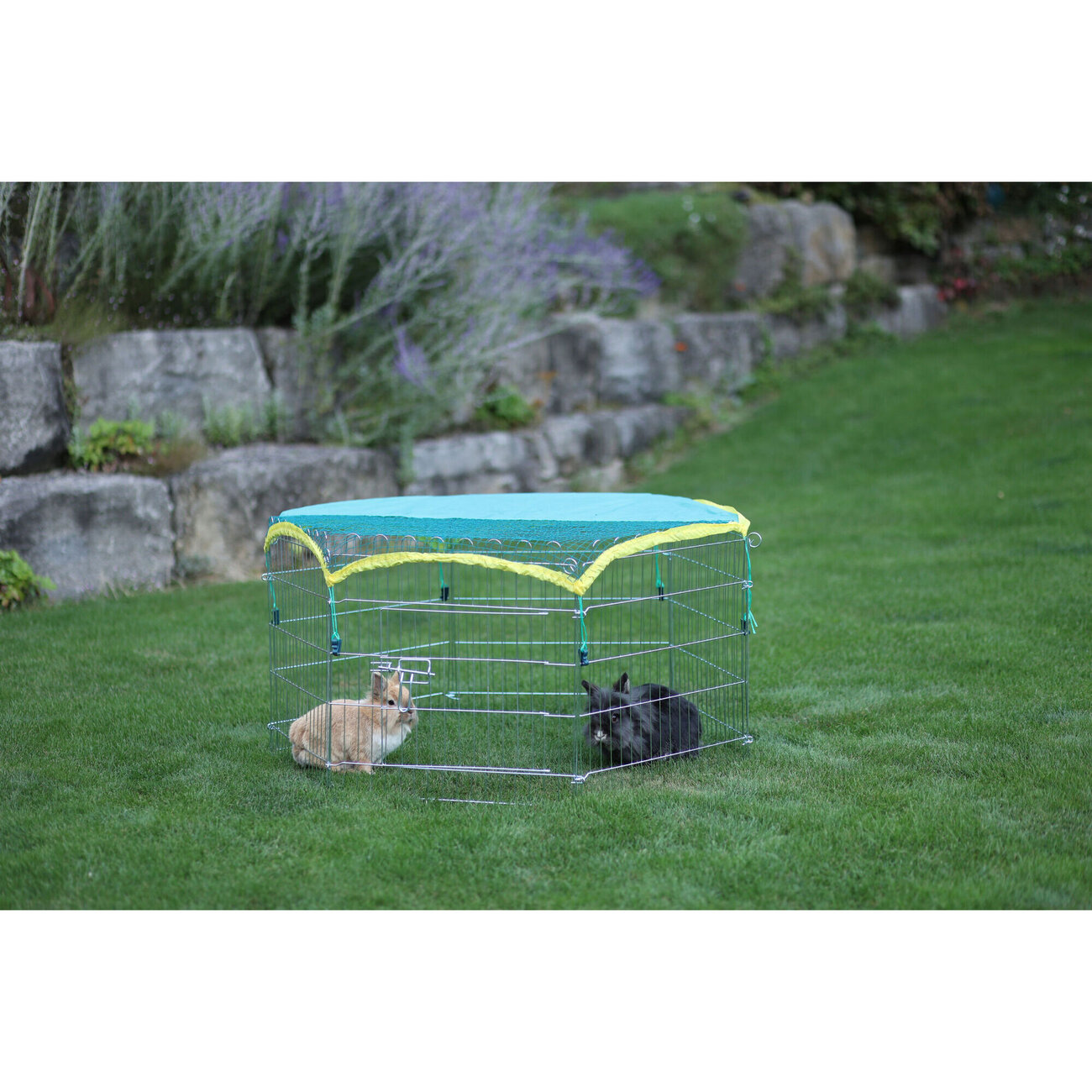 Kleintier Freigehege, verzinkt, 6 eckig mit Tür und Netz Bild 3