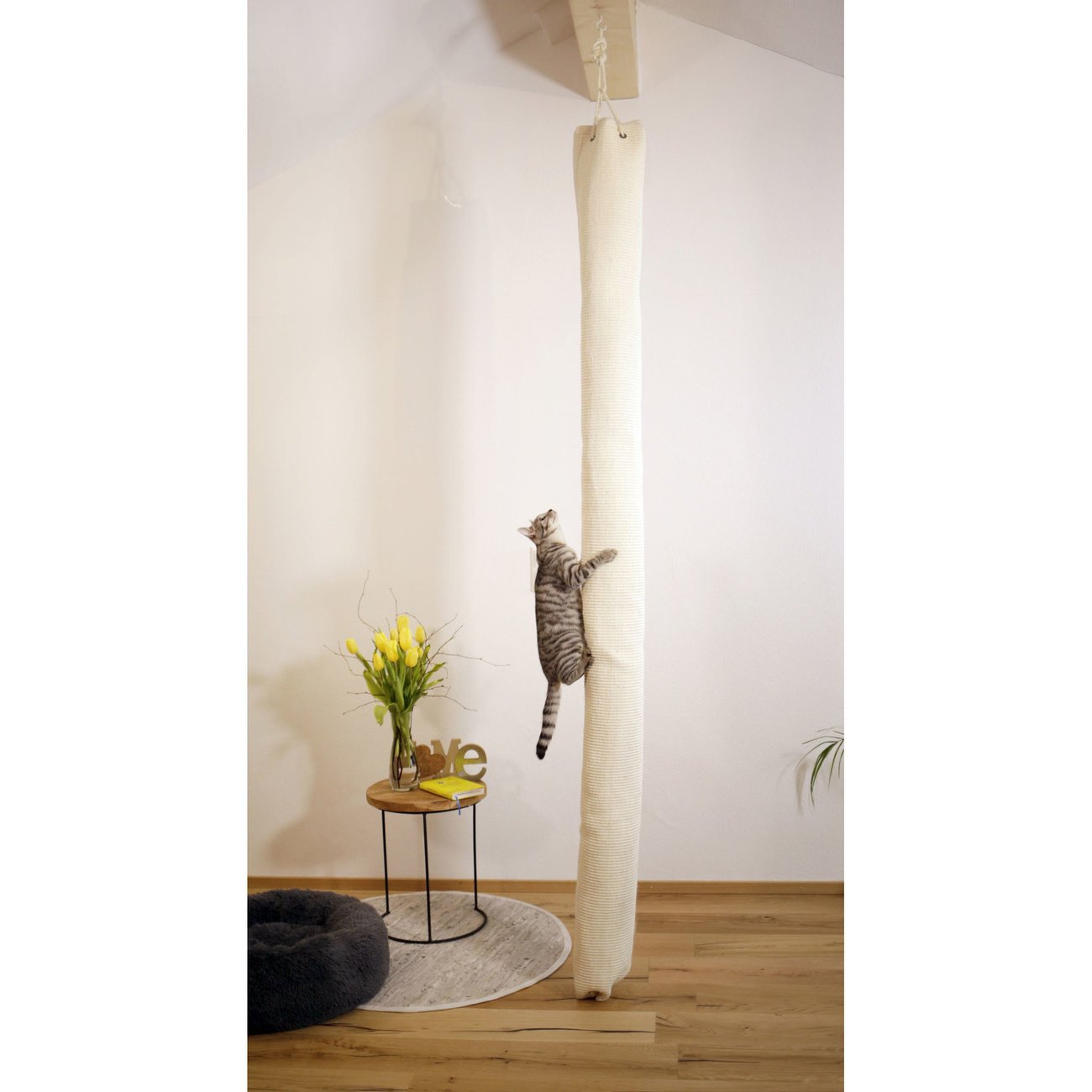 Klettersack Climber für Katzen Bild 2