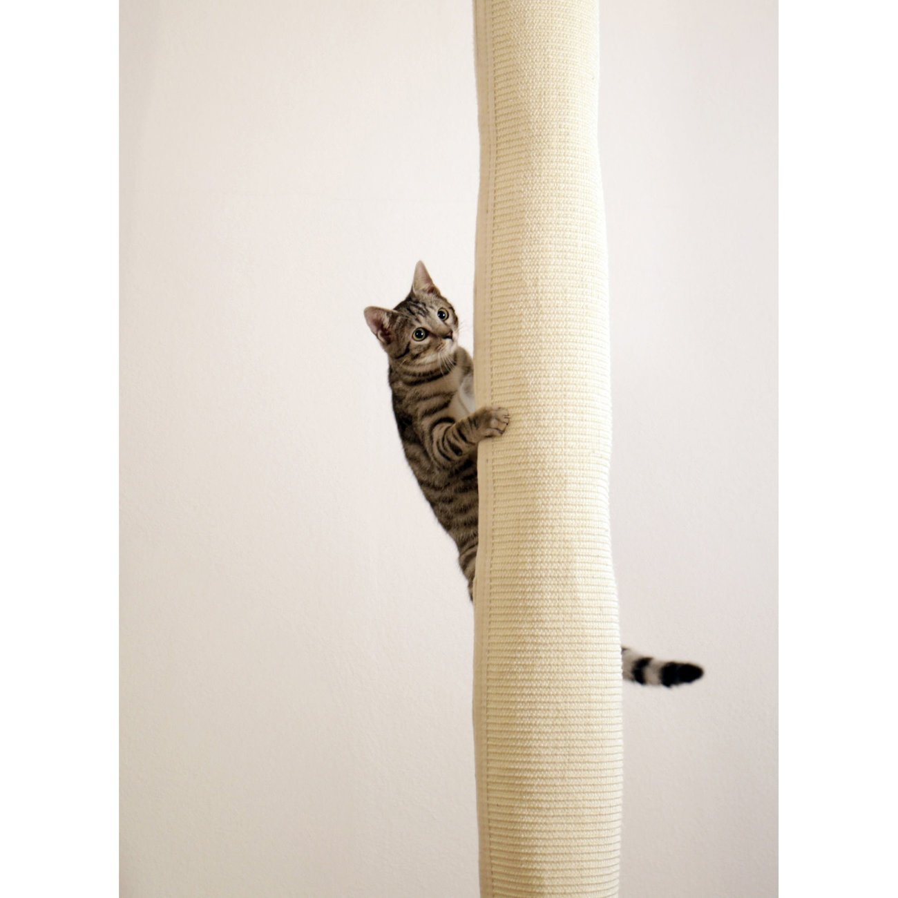 Klettersack Climber für Katzen Bild 6