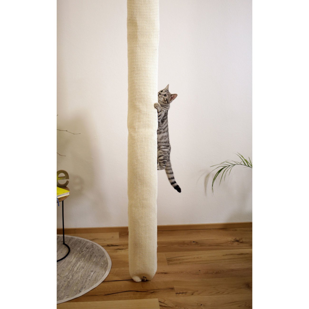 Klettersack Climber für Katzen Bild 8