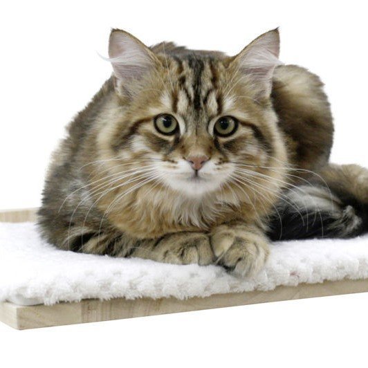 Kletterwand Alps für Katzen Bild 5