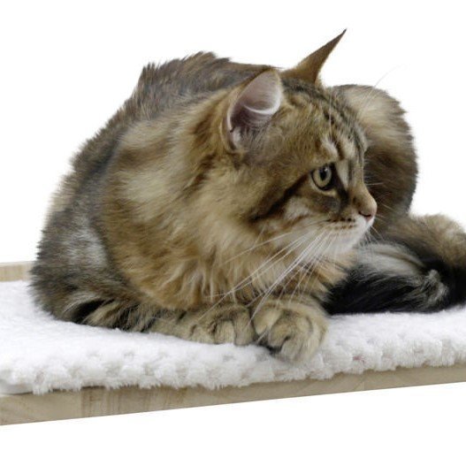 Kletterwand Alps für Katzen Bild 10