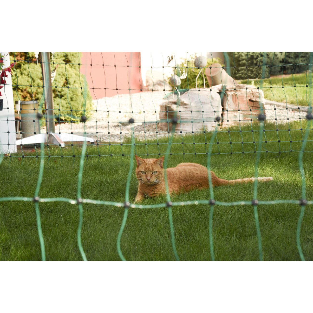 Outdoor Garten Haustiernetz Bild 2