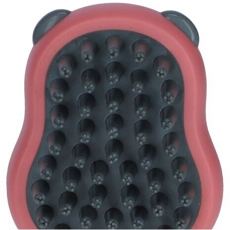 Pflegeset für Katzen und kleine Hunde Bild 6