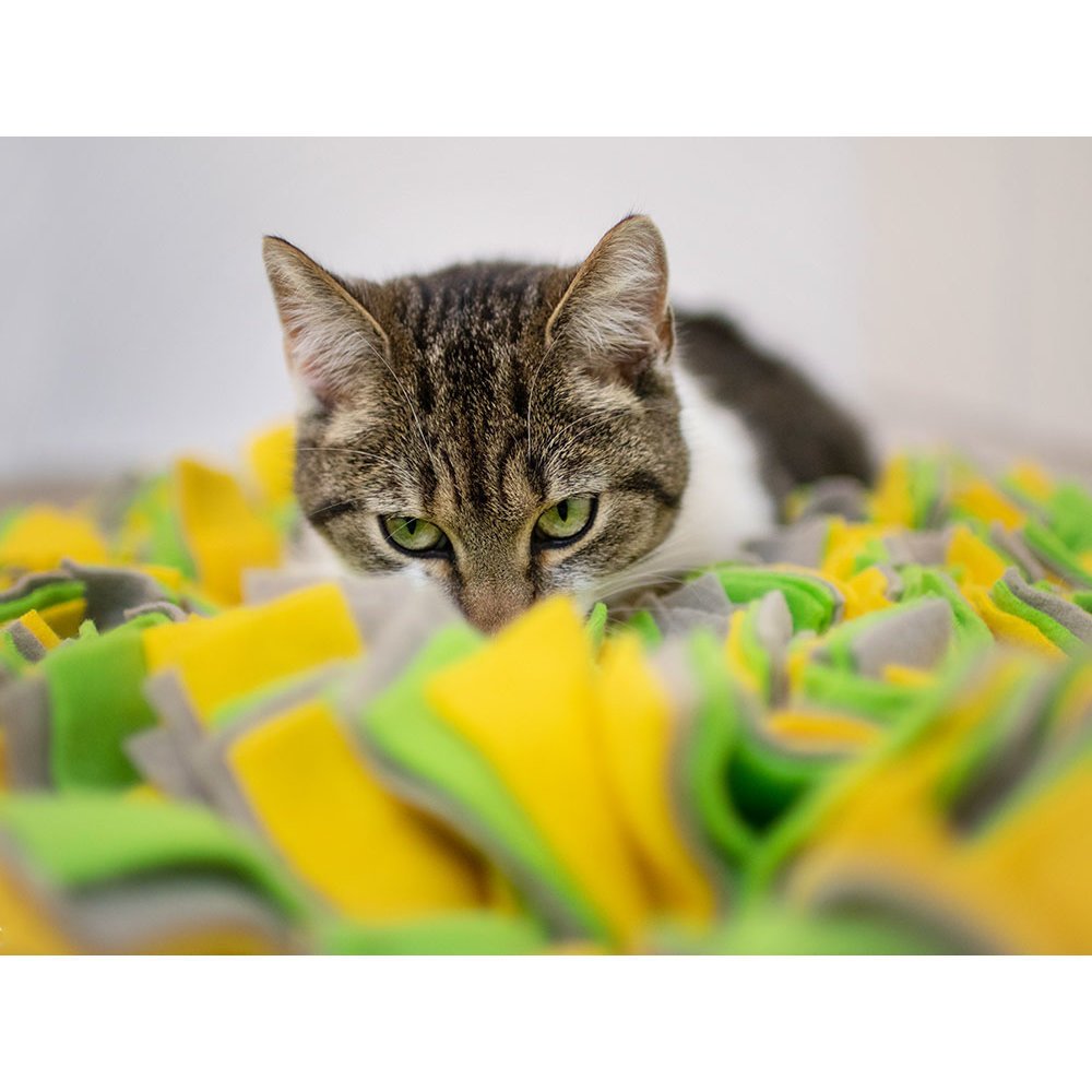 Kerbl Schnüffelteppich für Hunde Bild 4