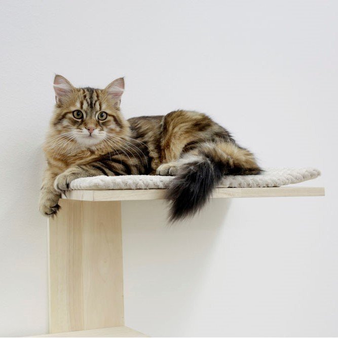 Timber Kratzbaum für die Wand von Kerbl günstig bestellen tiierisch.de