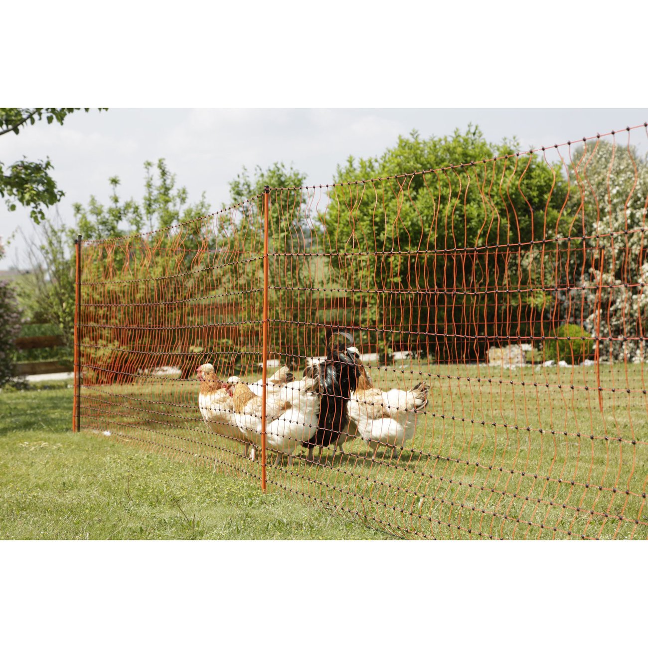 Unterstützungspfahl für Weidenetze Bild 3