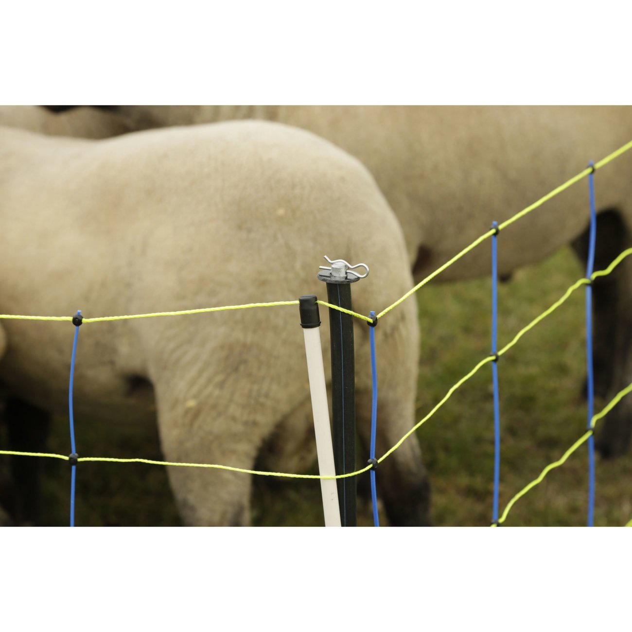 Unterstützungspfahl für Weidenetze Bild 4