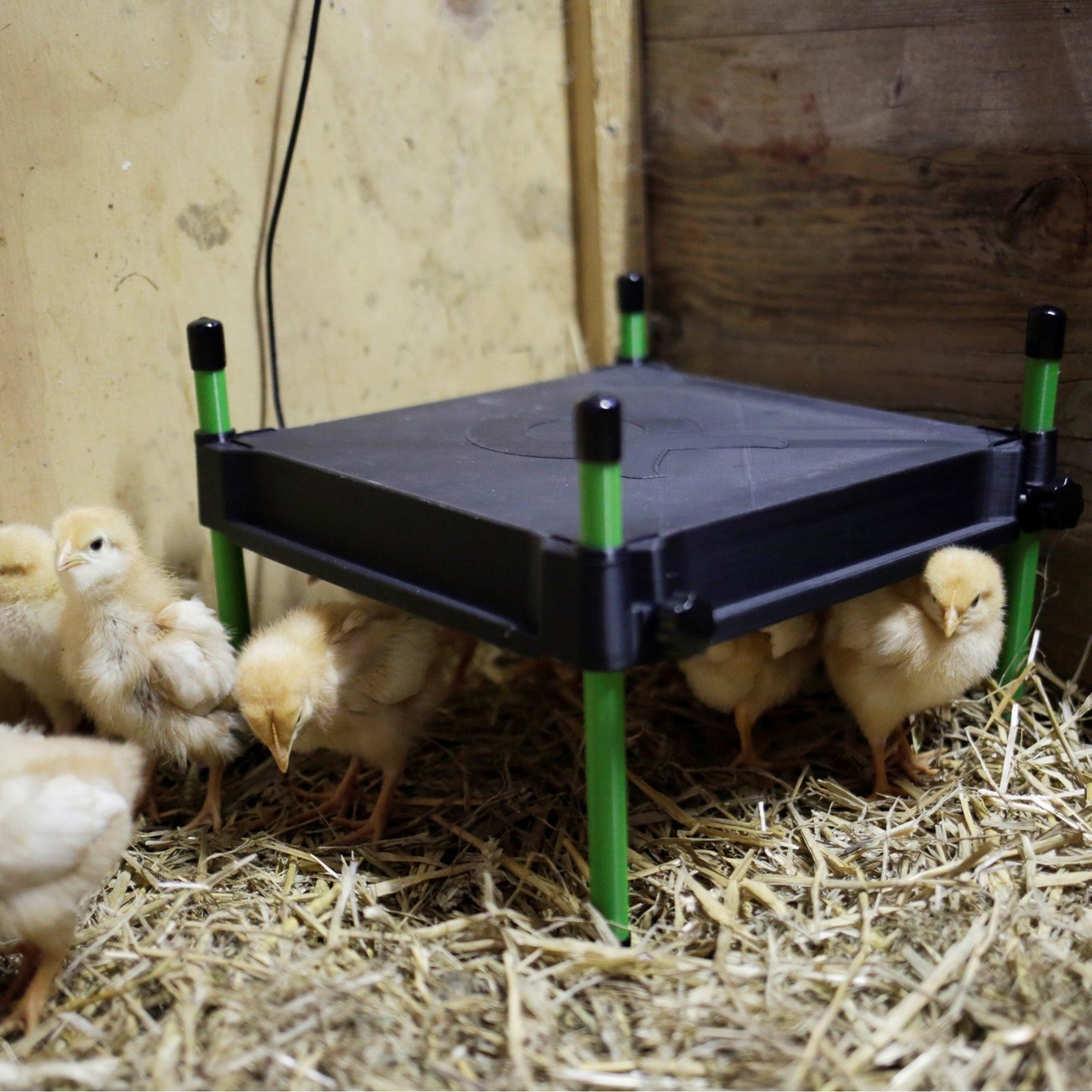 Wärmeplatte CosyHeat für Küken von Kerbl günstig bestellen | tiierisch.de