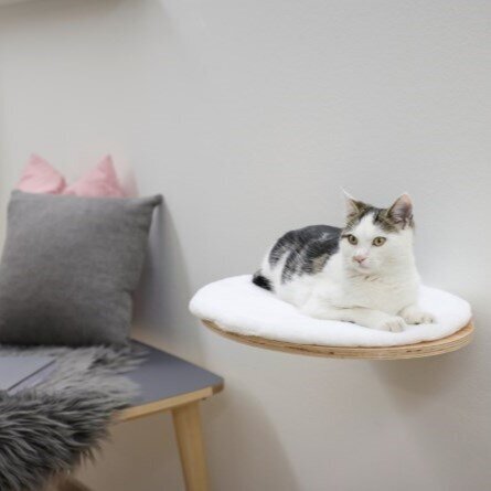 Wandliegebrett Dolomit für Katzen Bild 3