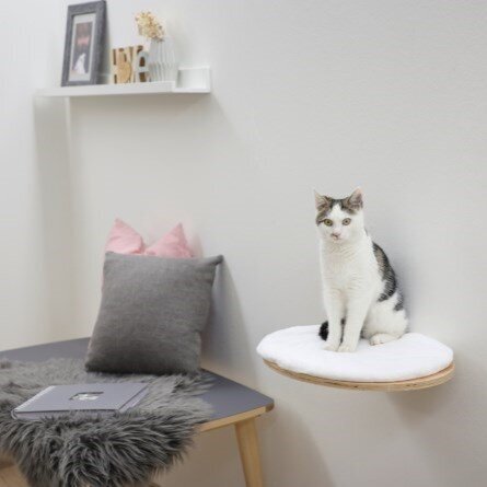 Wandliegebrett Dolomit für Katzen Bild 5
