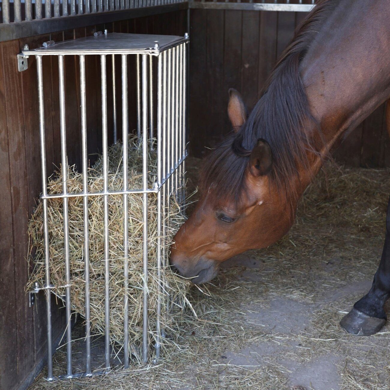 Pferde Wandraufe Slow Feed Plus Bild 4