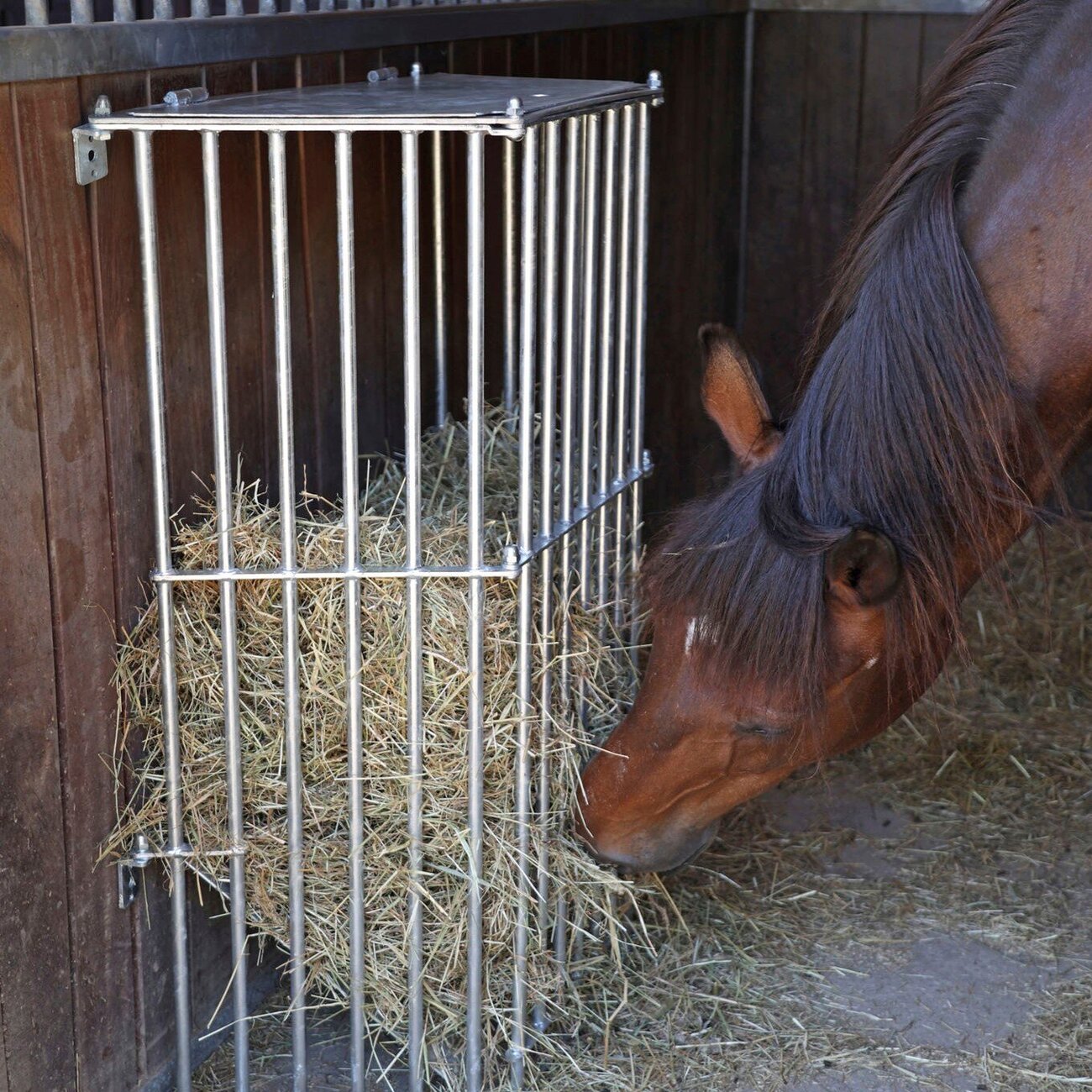 Pferde Wandraufe Slow Feed Plus Bild 2