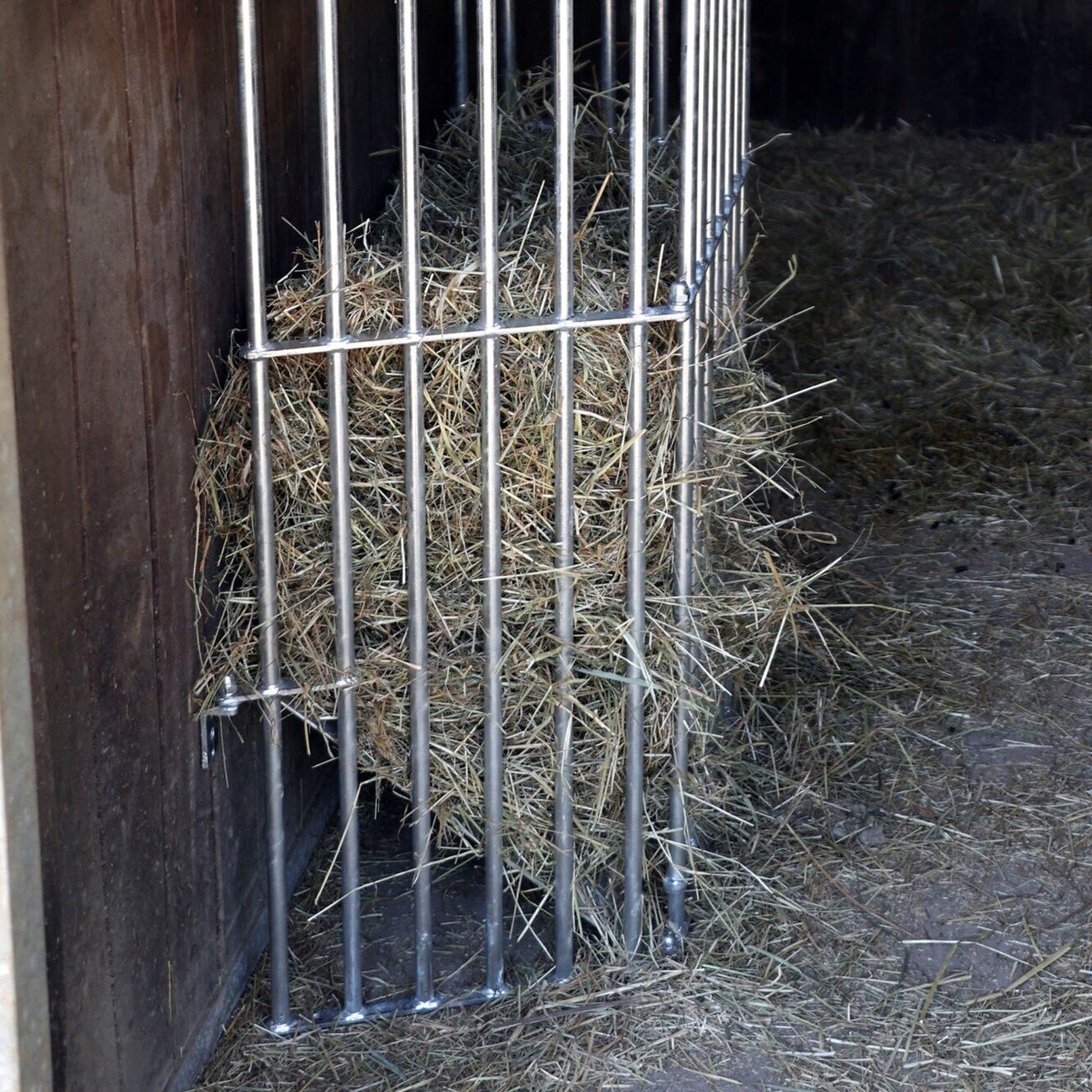 Pferde Wandraufe Slow Feed Plus Bild 6