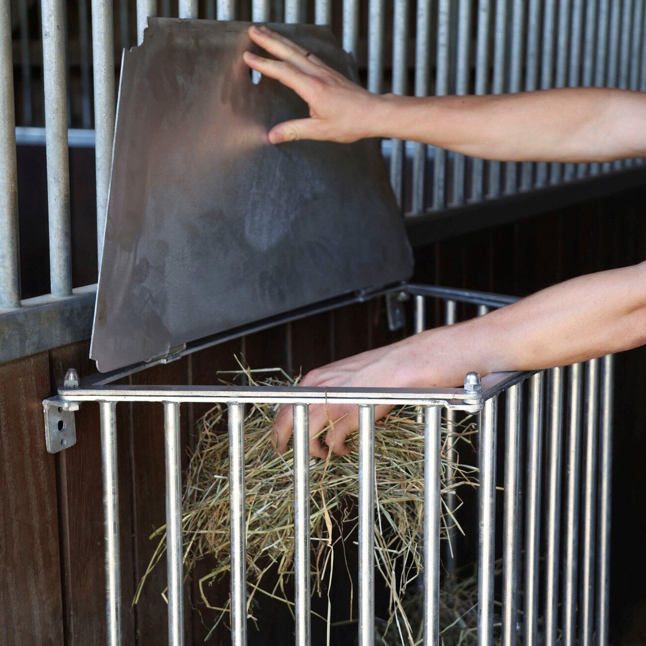 Pferde Wandraufe Slow Feed Plus Bild 8