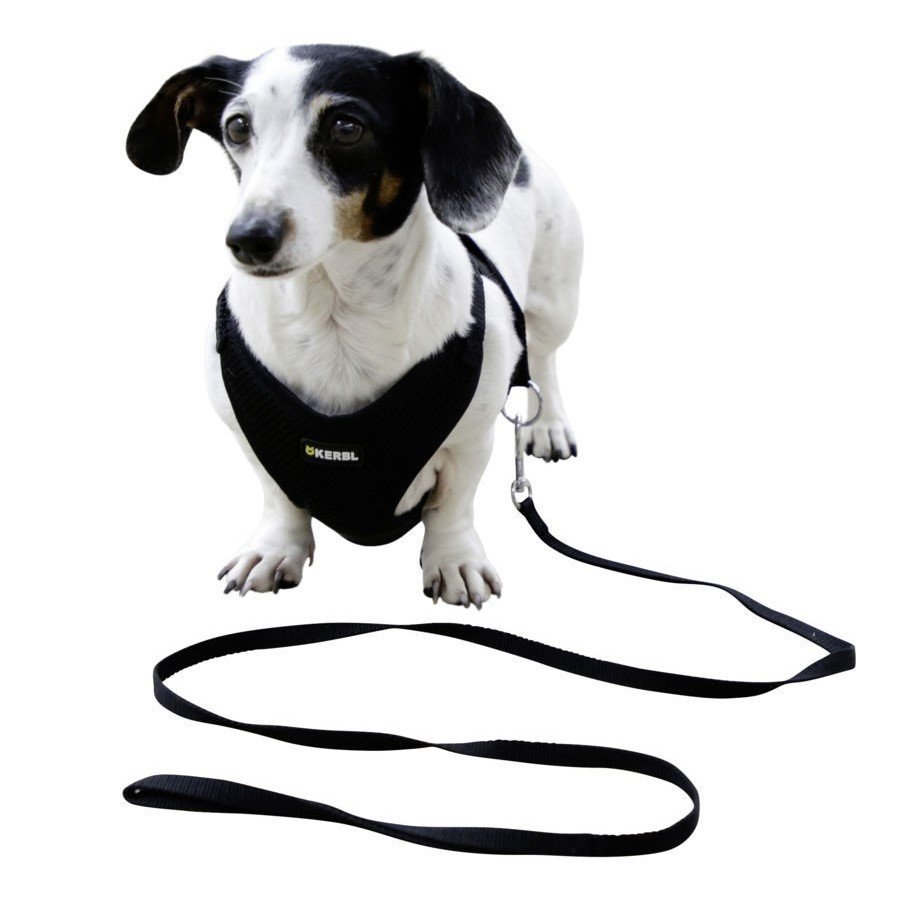 Welpengeschirr mit Leine Bild 7