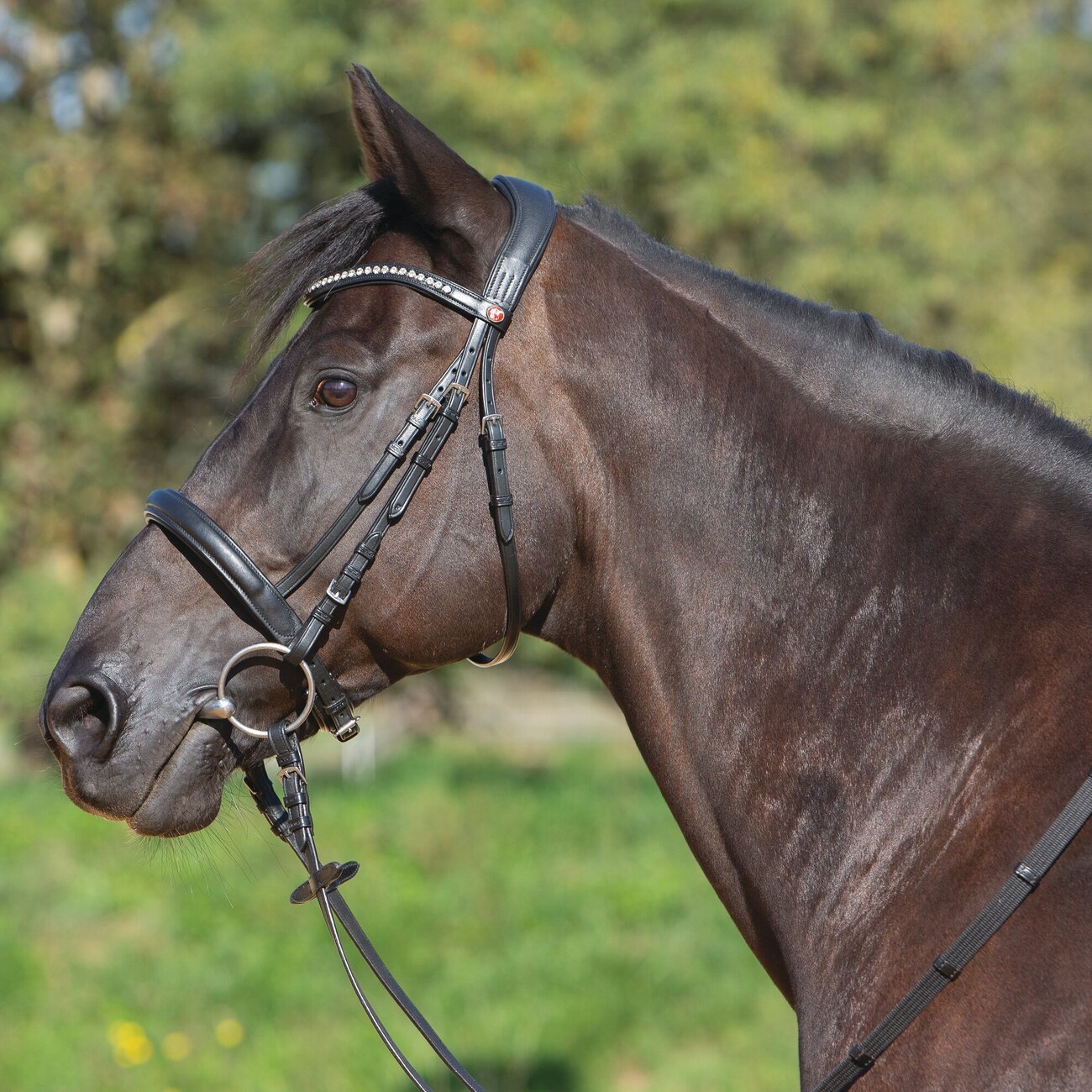 Trensenzaum Ultrasoft® Sue Bild 1