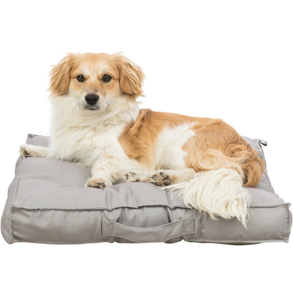 Kissen Felia Bild 16