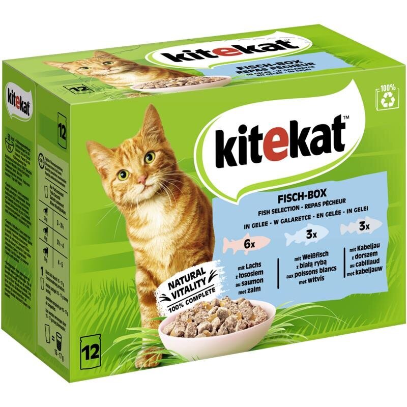 Kitekat Katzenfutter Multipack Fisch-Box in Gelee Bild 1