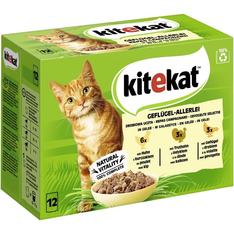 Kitekat Katzenfutter Multipack Geflügel-Allerlei in Gelee Bild 1
