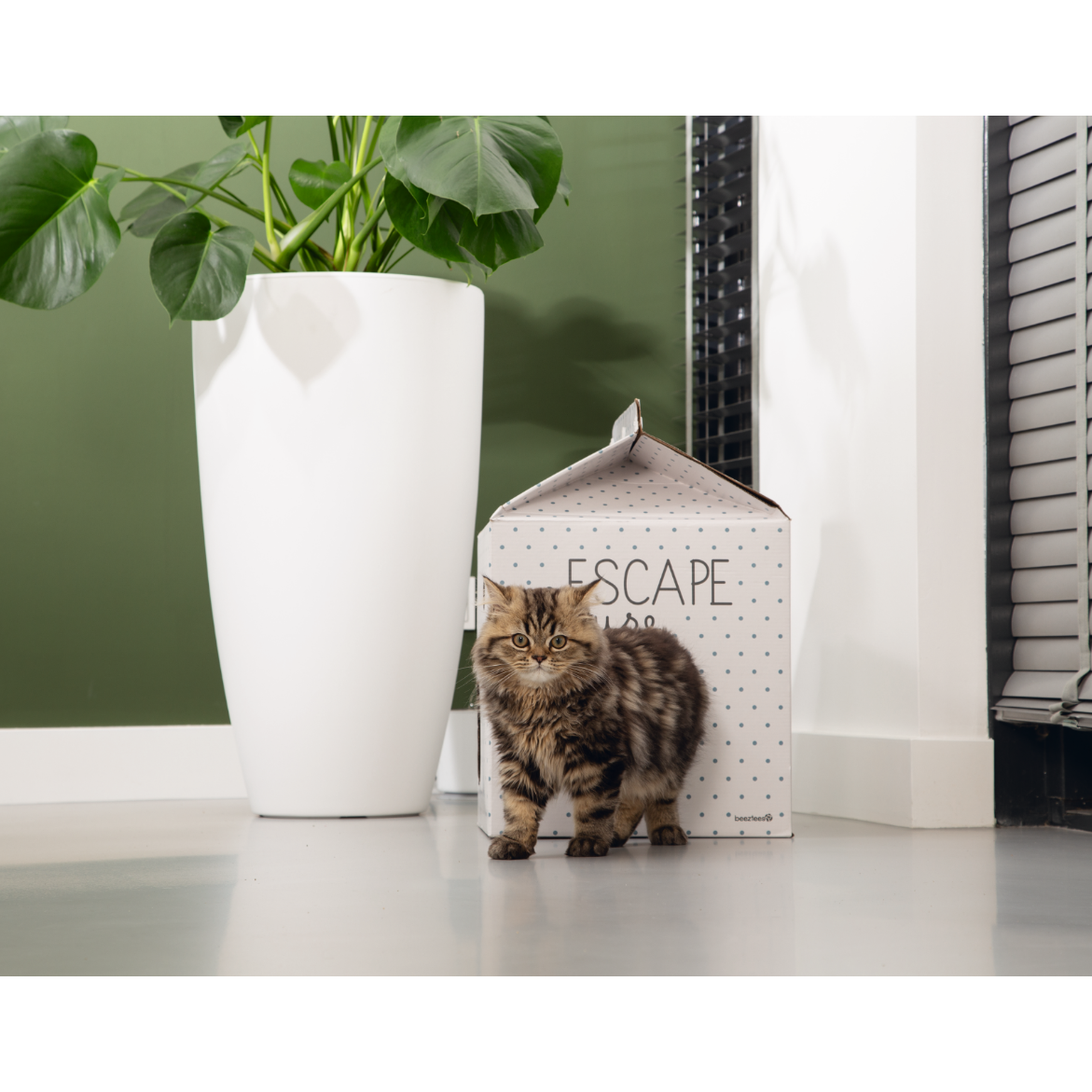 Kitten Kartonspielzeug Bild 7