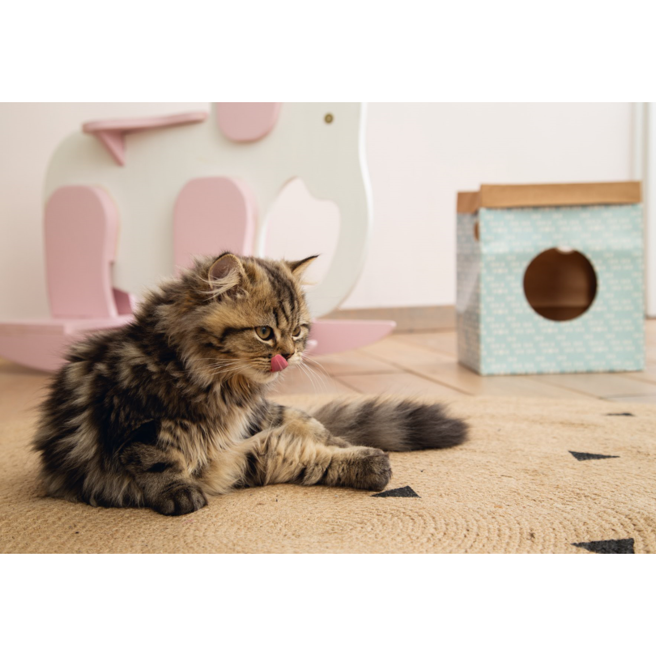 Kitten Kartonspielzeug Bild 10