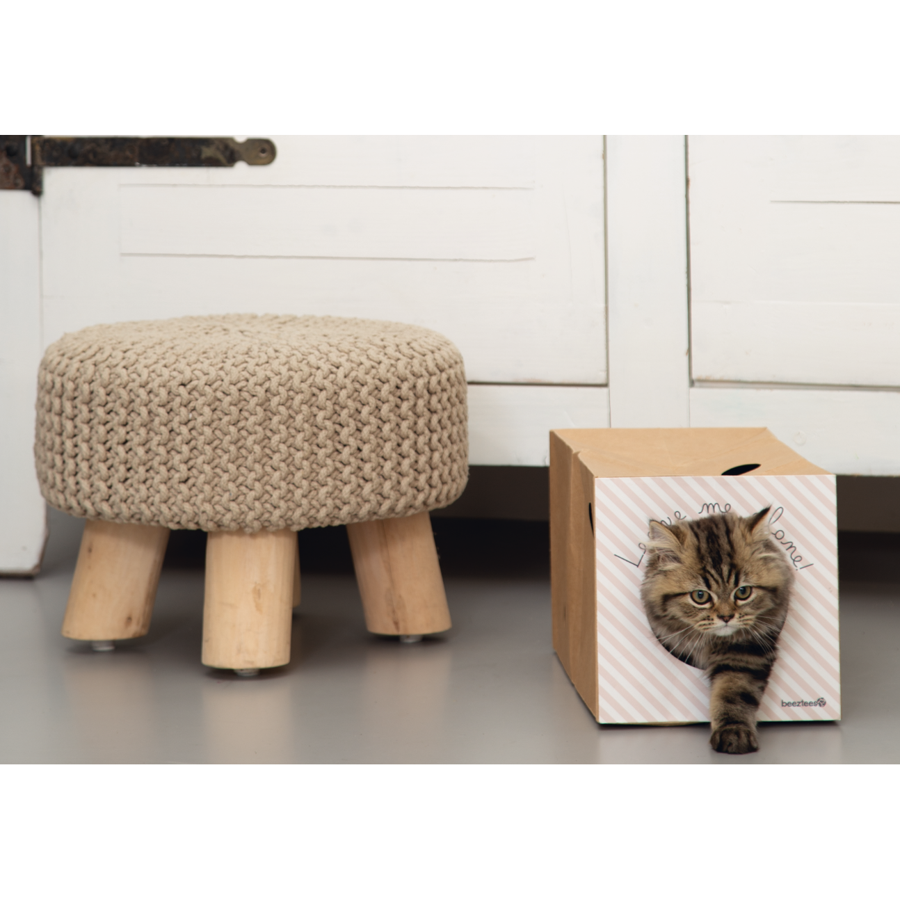 Kitten Kartonspielzeug Bild 6