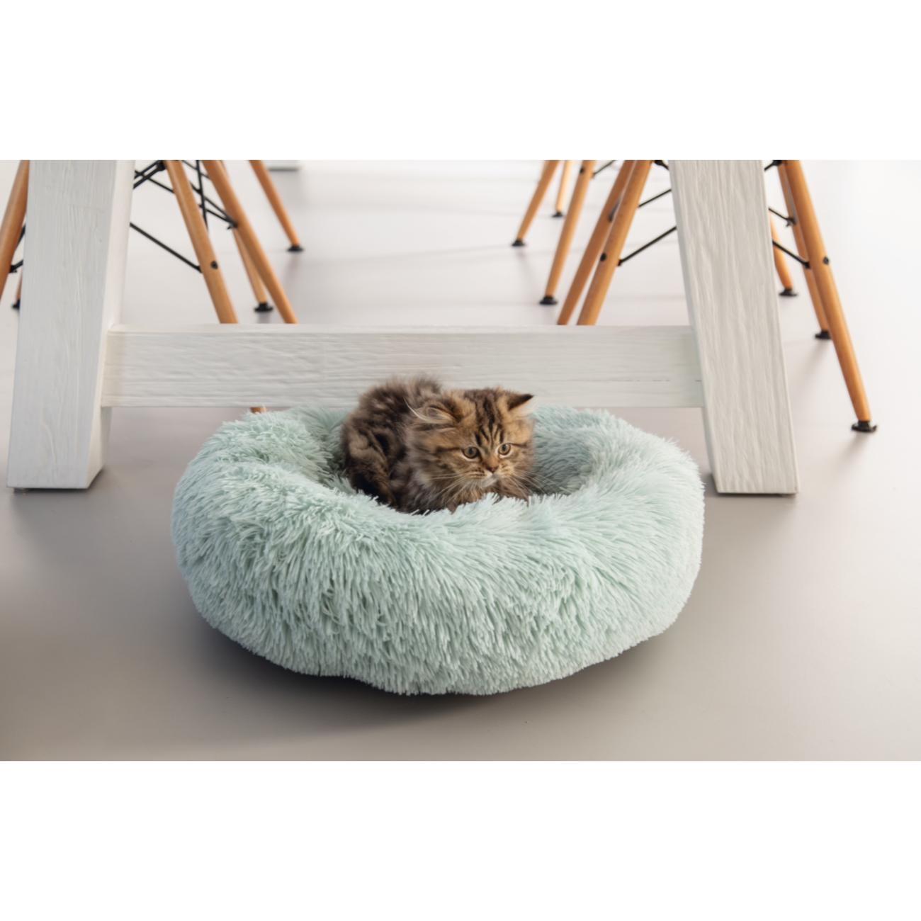 Kitten Katzenbett Vako Bild 2