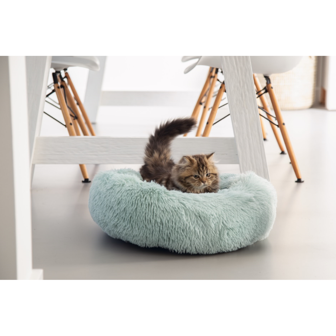 Kitten Katzenbett Vako Bild 4