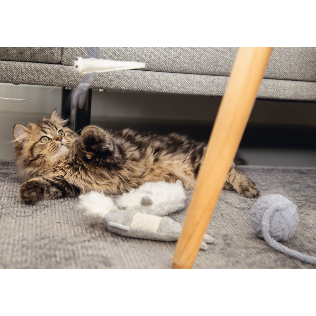 Kitten Katzenspielzeug Lama Bild 3