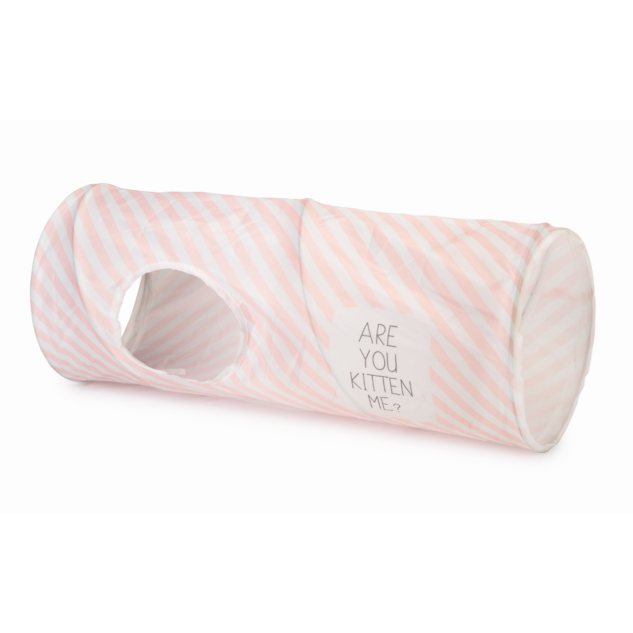 Kitten Katzentunnel Nini Bild 1