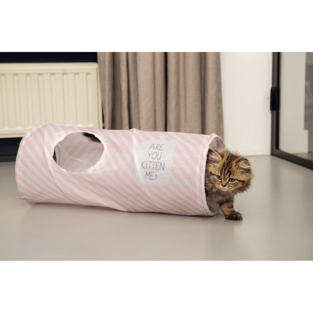 Kitten Katzentunnel Nini Bild 2