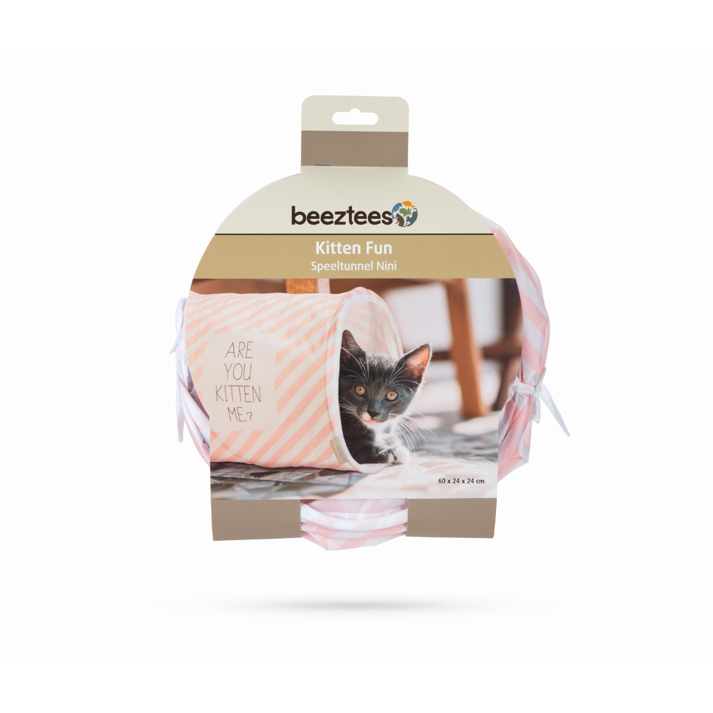 Kitten Katzentunnel Nini Bild 4