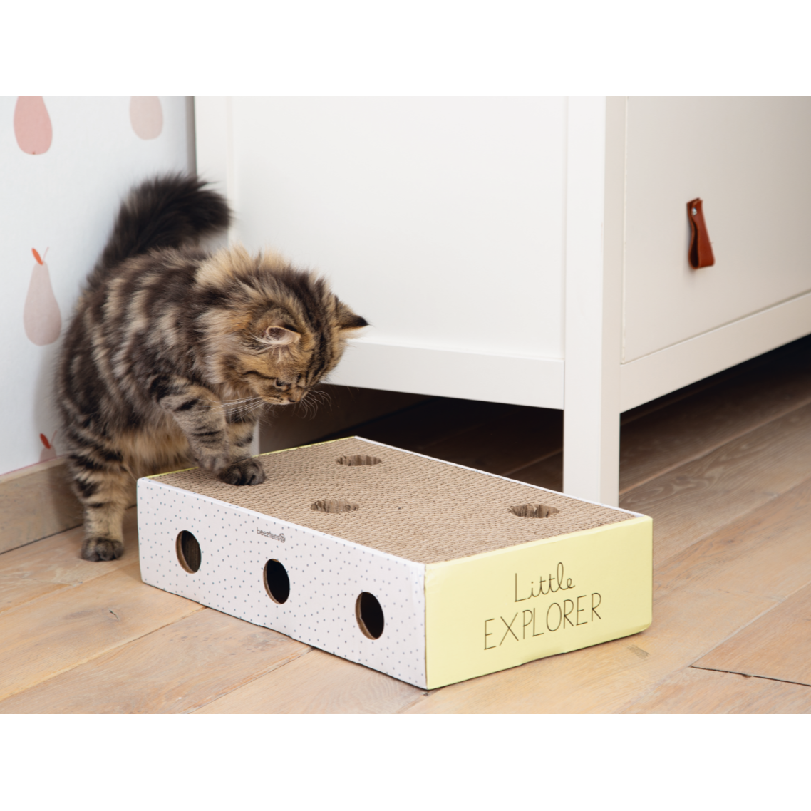 Kitten Kratzbox Riva Bild 2