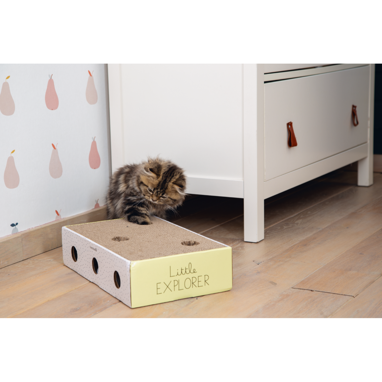 Kitten Kratzbox Riva Bild 4