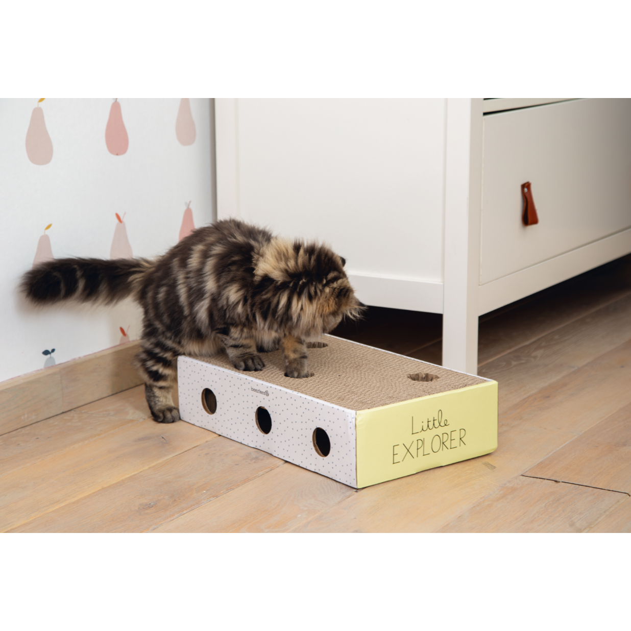 Kitten Kratzbox Riva Bild 5