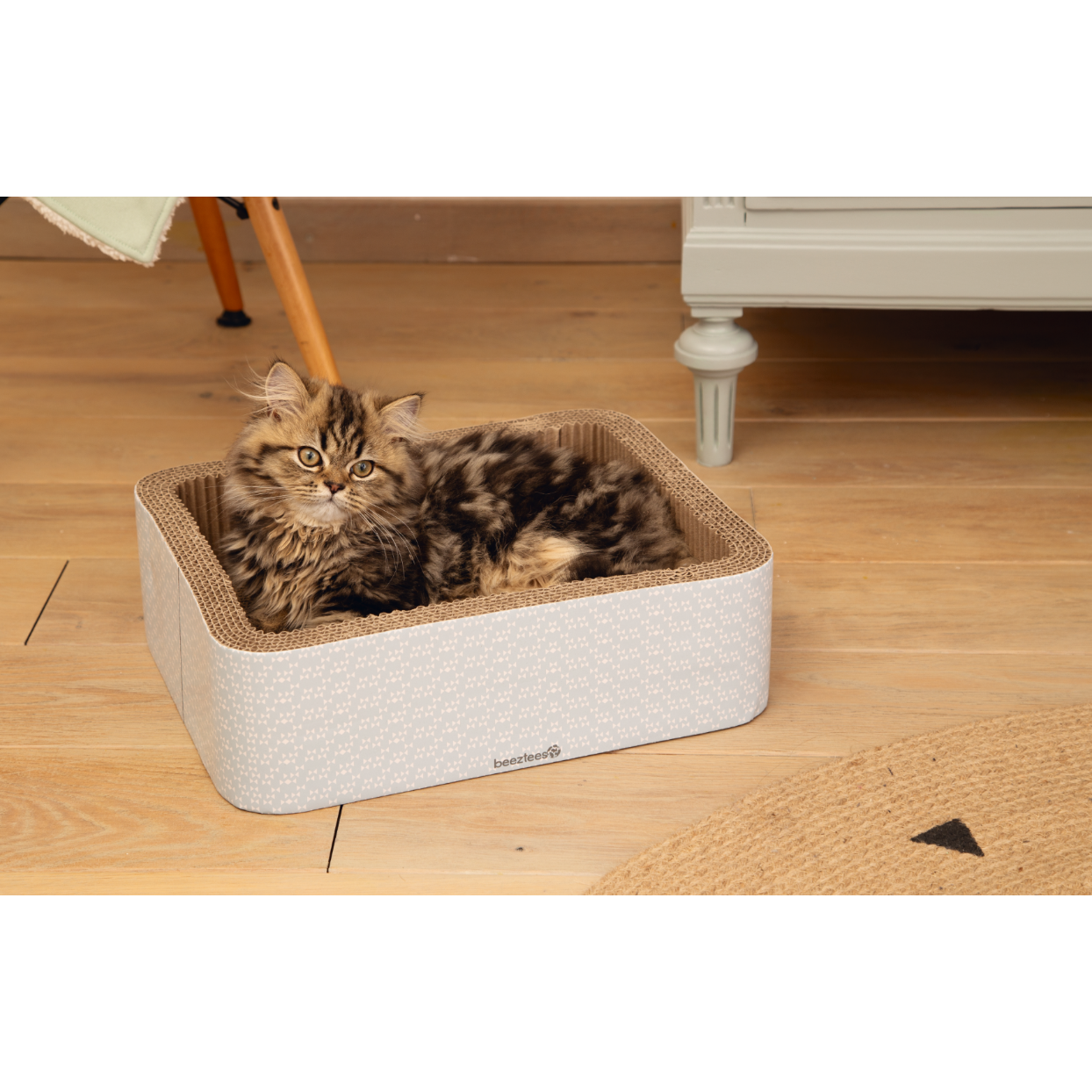 Kitten Kratzkorb Kero Bild 4