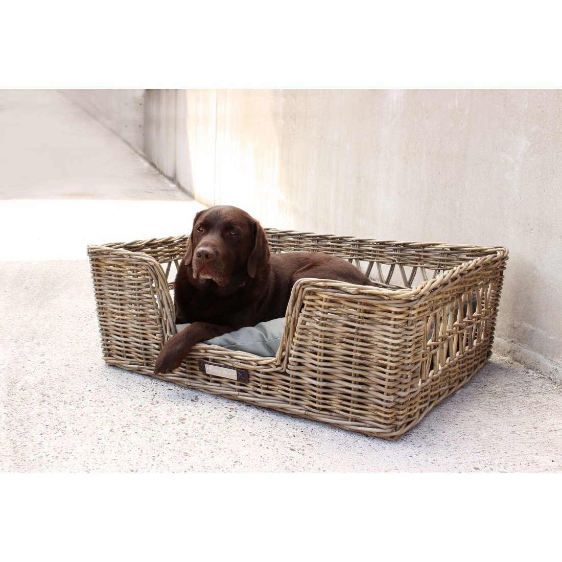 Klassischer Luxury Rattankorb für Hunde Bild 2