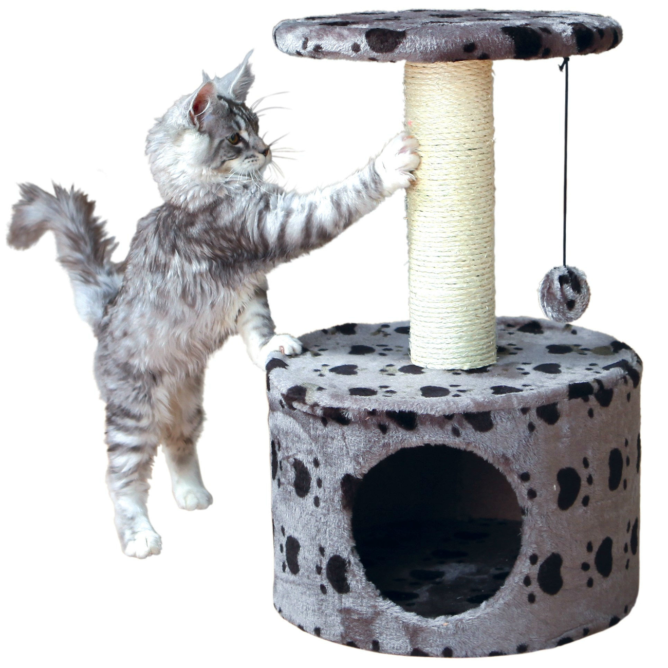 Kleiner Kratzbaum Toledo Bild 4