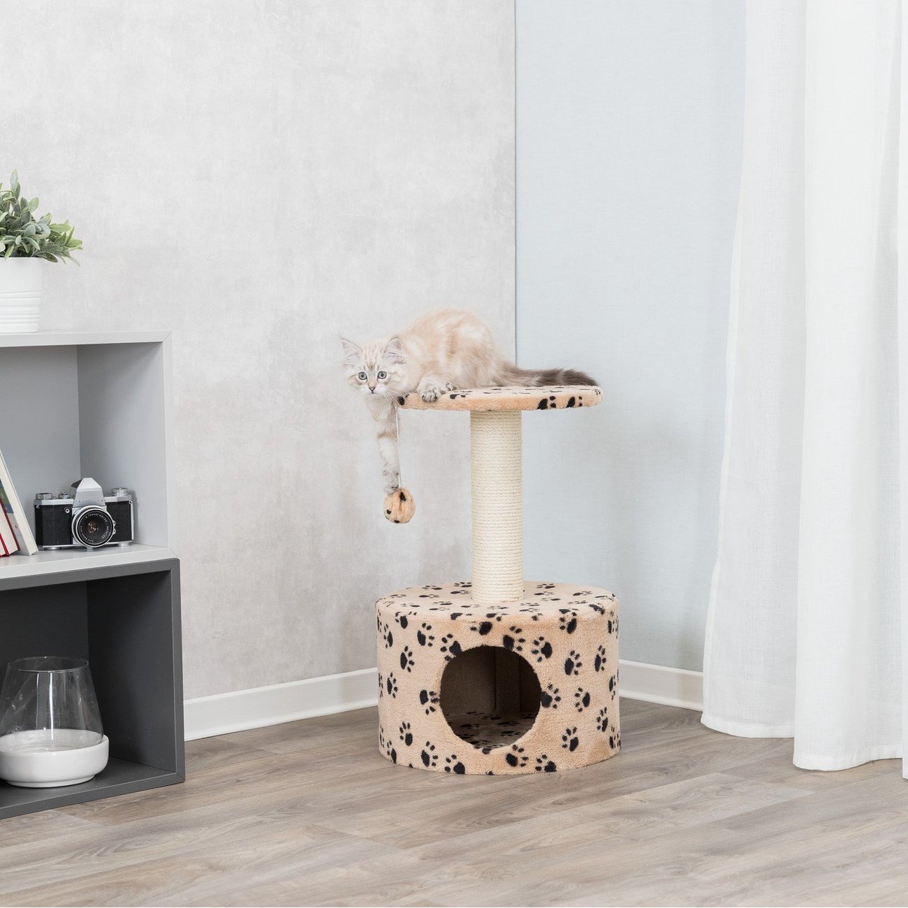 Kleiner Kratzbaum Toledo Bild 2