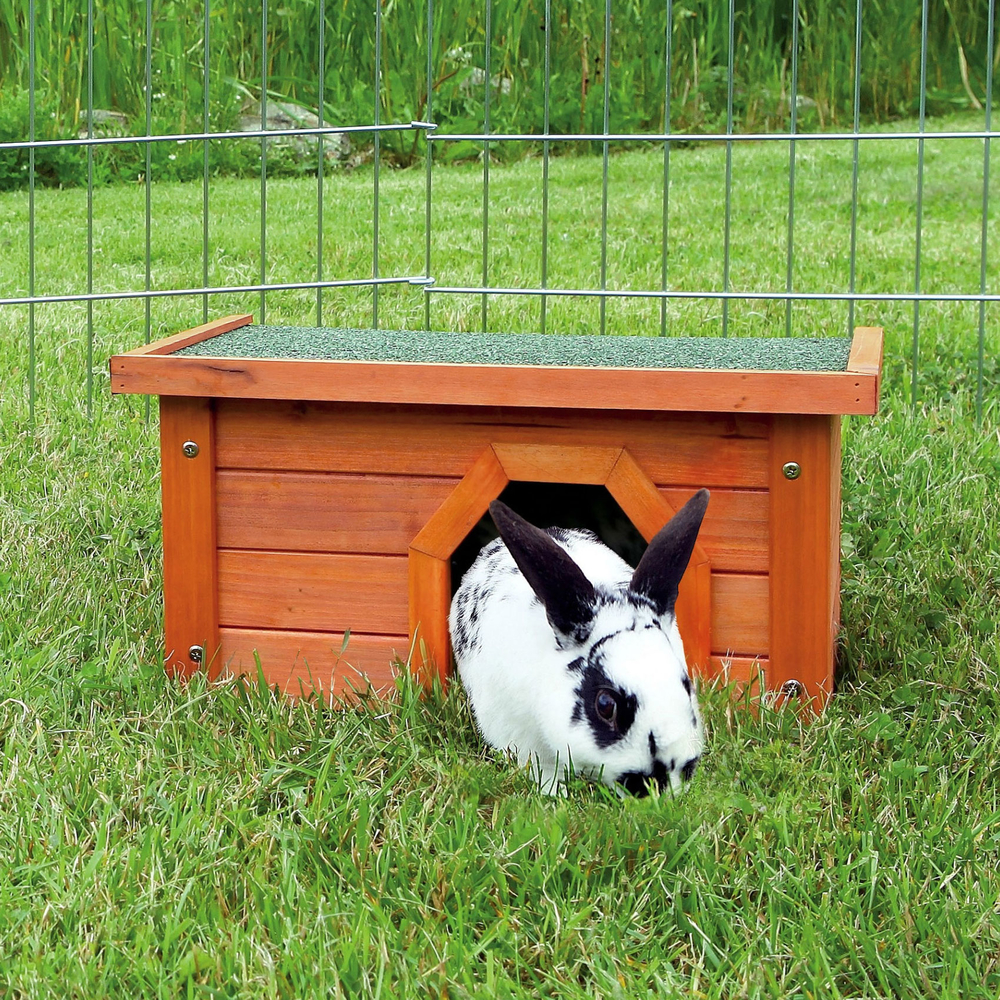 Kleintierhaus Natura aus Holz Bild 2