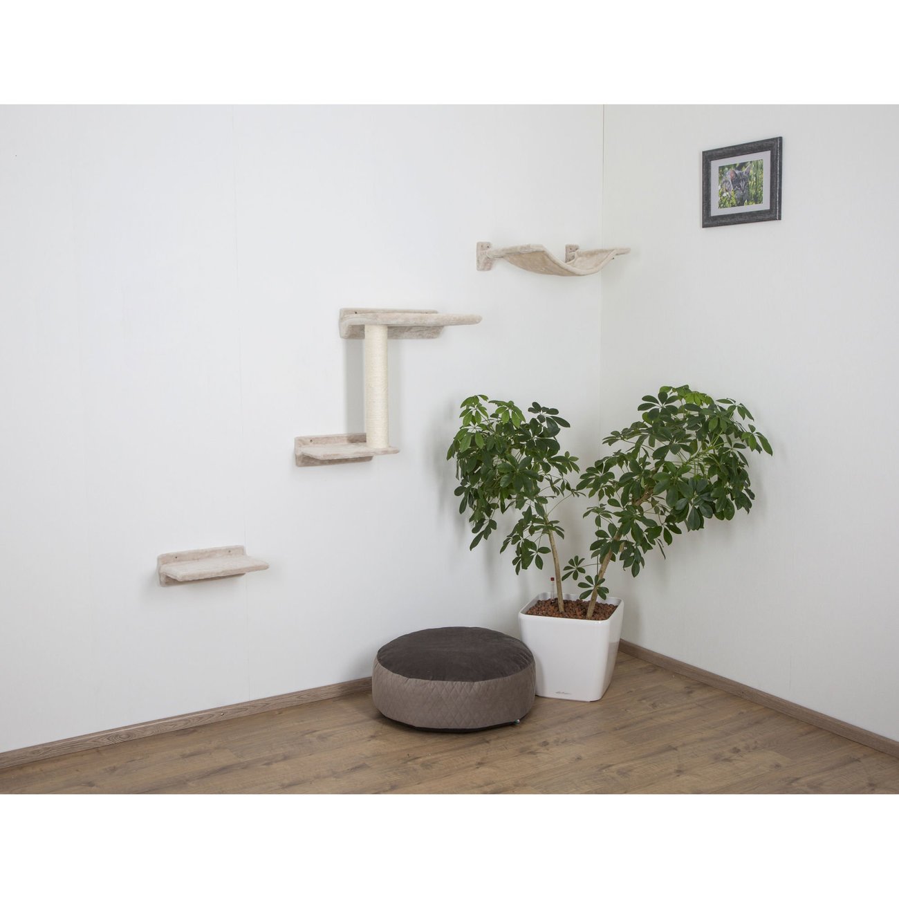 Kletterwand für Katzen Zugspitze, 5-teilig, beige Kletterwand für Katzen Zugspitze, 5-teilig, beige