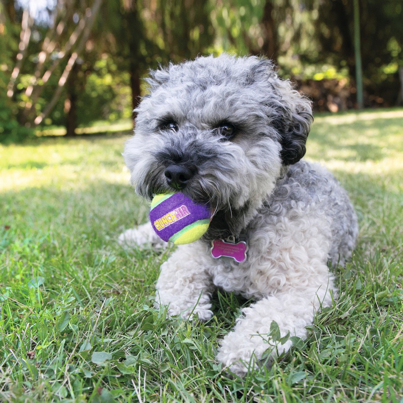 CrunchAir Balls Bild 2