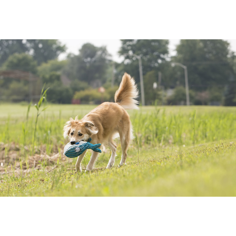 CuteSeas Hundespielzeug Bild 2